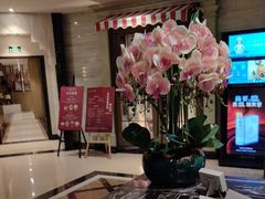 -上海小南国(国发店)