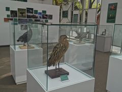 -陕西自然博物馆