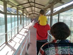 -新疆天山野生动物园