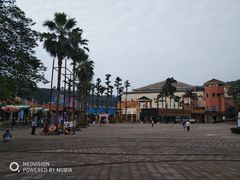 -重庆海昌加勒比海水世界