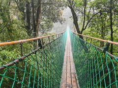 -云南屏边大围山国家公园