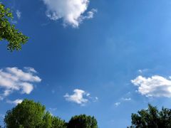 -东升八家郊野公园