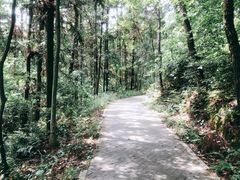 -青龙山国家森林公园