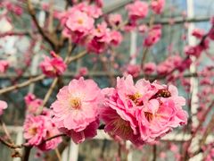 -北京鹫峰国家森林公园