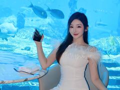 -亚特兰蒂斯•OSSIANO奥西亚诺海底餐厅