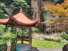 -莫干山风景区