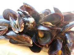 清水煮淡菜-沈家门海鲜夜排档(东港店)