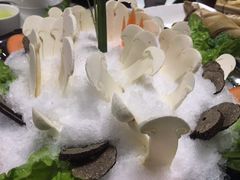 -山大王菌莊