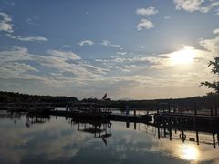 -大湾区中央湿地公园