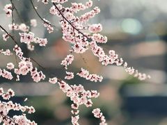 -安定门(地铁站)