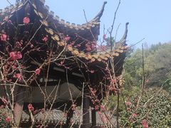 -杭州黄龙洞