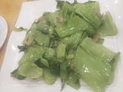 -鸿达渔港