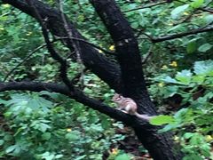 -帽儿山国家森林公园