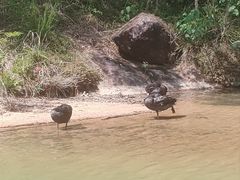 -广州白江湖森林公园