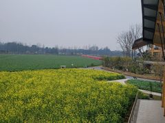 -中国天府农业博览园