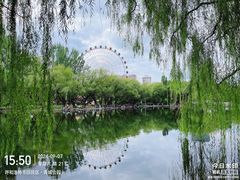 -青城公园