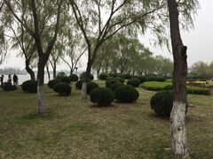-丁香湖公园