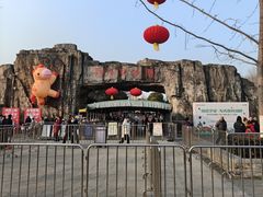 -合肥野生动物园