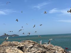 -摩天岭风景区