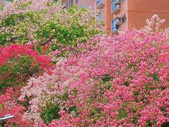 -华南师范大学(广州大学城校区)