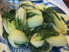 小白菜-金丰大酒楼