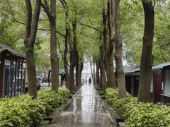 -溱湖国家湿地公园