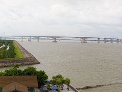 -大湾区中央湿地公园