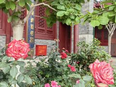 -天津大悲禅院