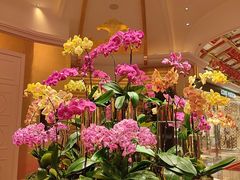 -咖啡苑 - 蔚藍夏日限定主题(永利皇宫店)
