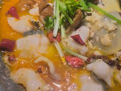 -龙梅肥肠鱼(明瓦廊店)