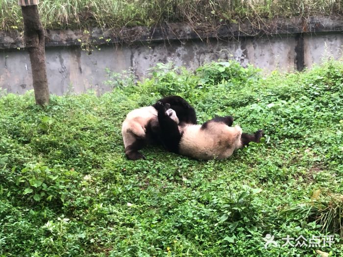 碧峰峡风景区图片