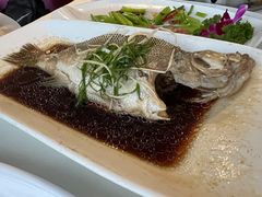 -云中小雅