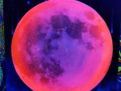 -梵高星空艺术馆(北京旗舰店)