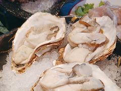 -牛New寿喜烧(金鹰世界店)