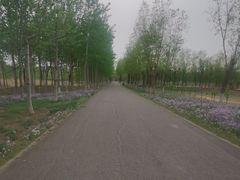 -东郊湿地公园