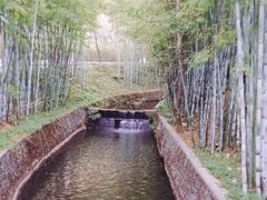-广东温泉宾馆