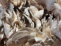 -南山民肴·乡土徽菜(豪辰俪景店)