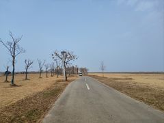 -盐城丹顶鹤湿地生态旅游区