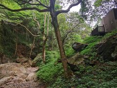 -五泄景区