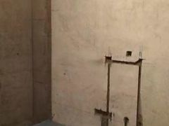-大树装饰·十年本土家装