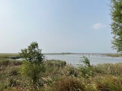 -野鸭湖国家湿地公园