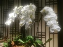 -余欢领鲜火锅(新街口店)