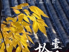 -颐和园