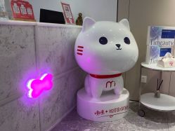 -咪咪专业脱毛连锁机构