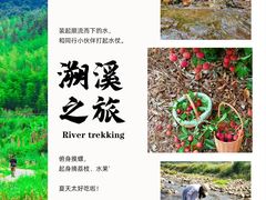 -二沙岛艺术公园