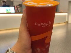 -CoCo都可(友谊阳光店)