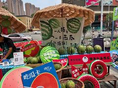 -鹏欣水游城
