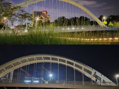 -福田红树林生态公园