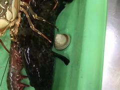 -班赞海鲜市场