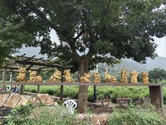 -树山生态村